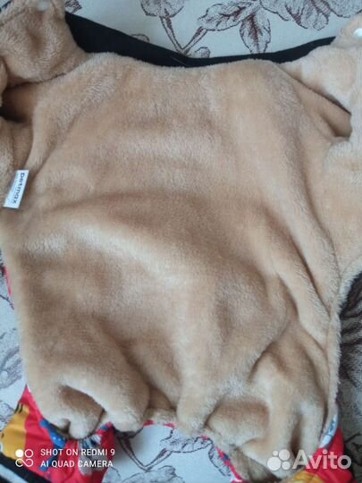 Одежда для собак