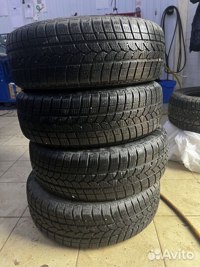 Tigar Winter 205/65 R15
