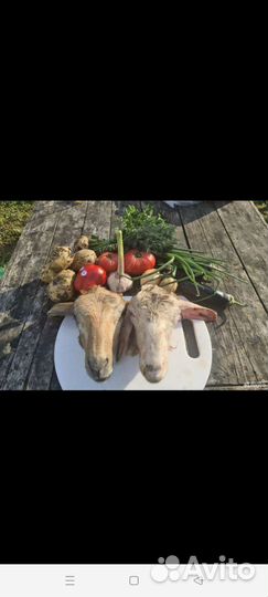Голова баранья, говяжья, крс