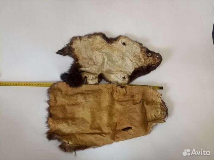 Шкурки дикой норки