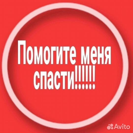 Кошке нужен Дом