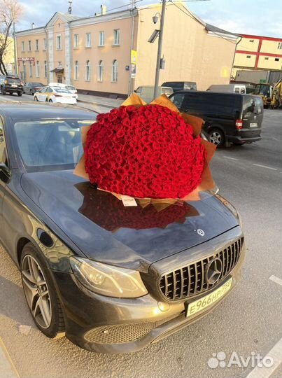 Роза букет цветы 101шт 501шт