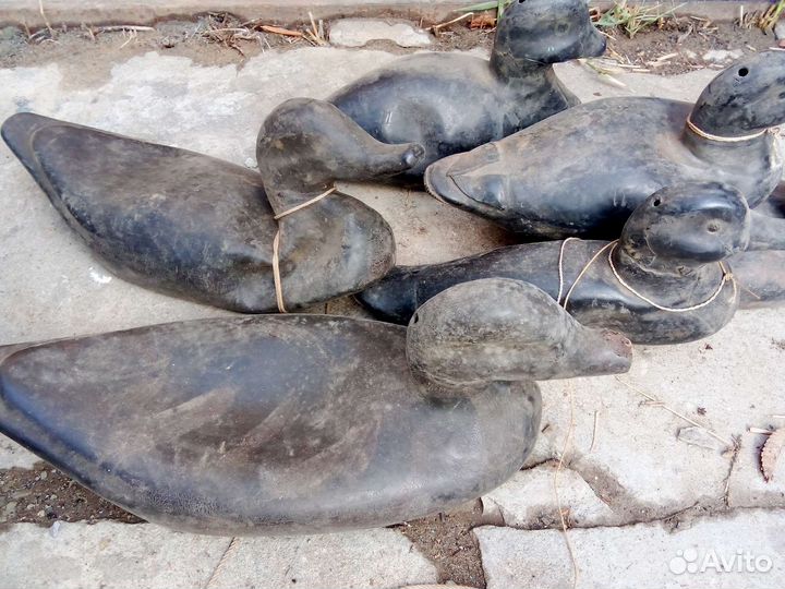 Утки подсадные для охоты