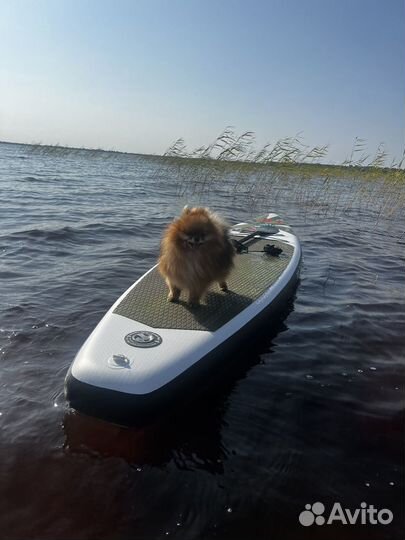 Sup board