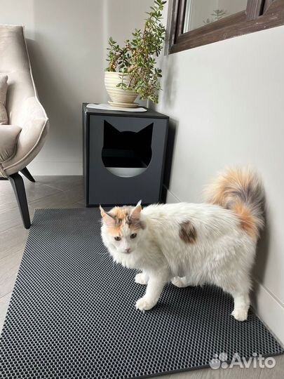 Тумба для кошачьего Лотка