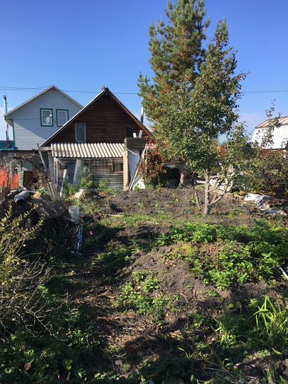 Участок 4,2 га (СНТ, ДНП)