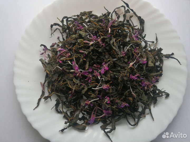 Иван-чай ферментированный, крупнолистовой
