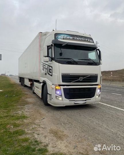 Услуги Рефа