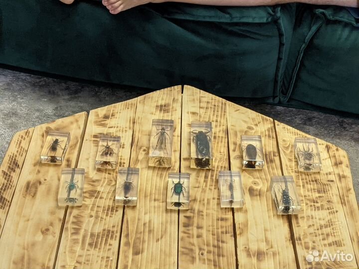 Насекомые в смоле