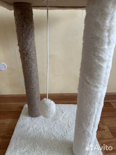 Когтеточка