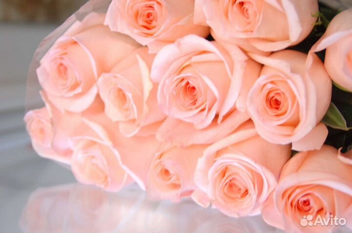 Цветы розы букет