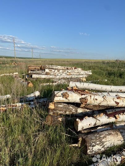 Сруб бревна сосна