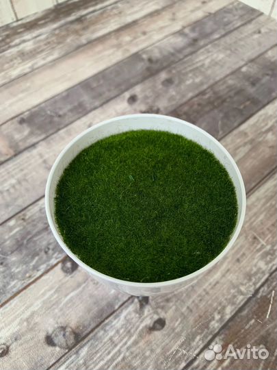 Заготовка основа творчество флористика