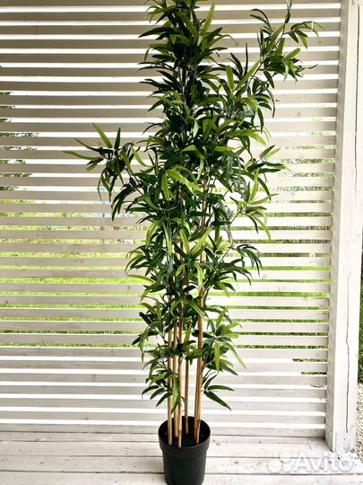 Искусственные цветы Бамбук IKEA