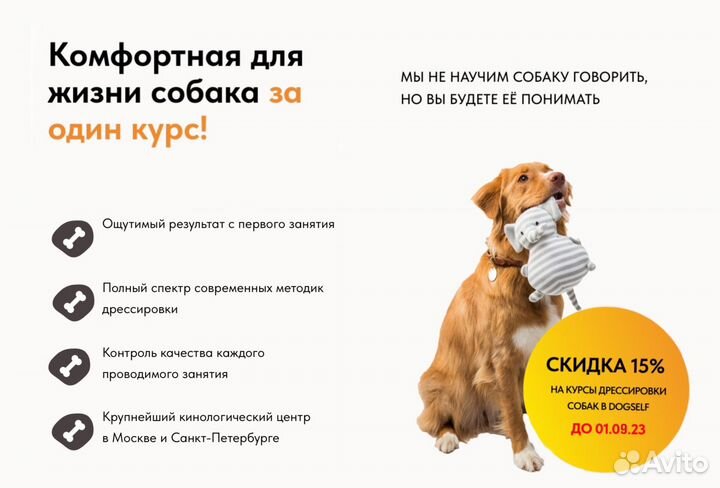 Дрессировка и воспитание собак / Кинолог с опытом