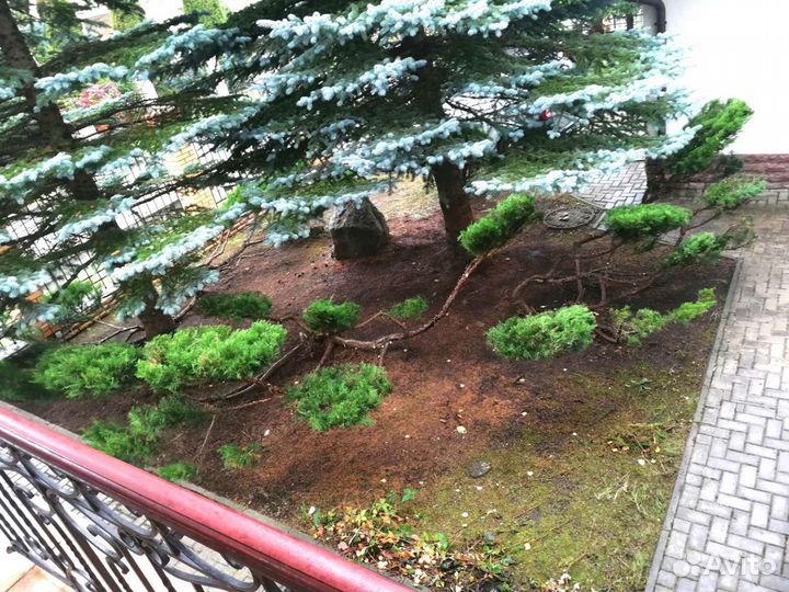 Садовник, профи