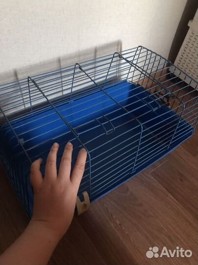 Клетка большая