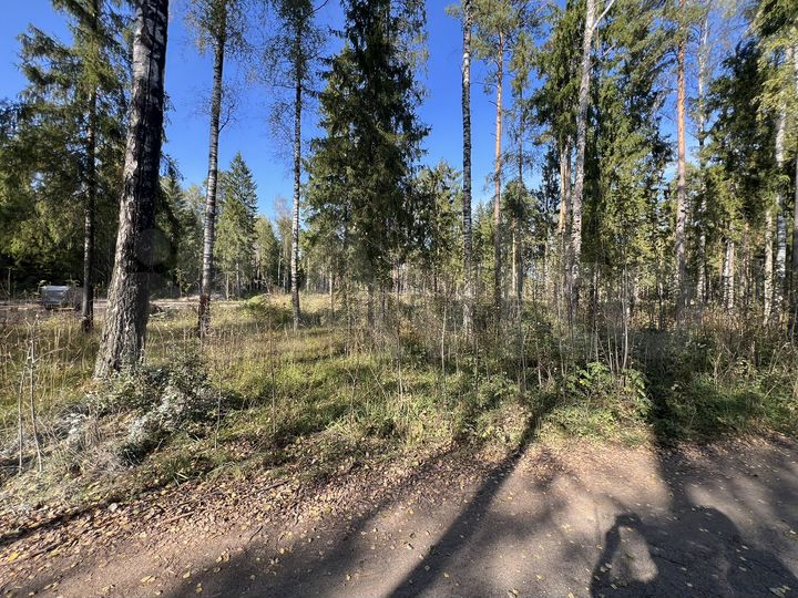 Участок 25 сот. (ИЖС)