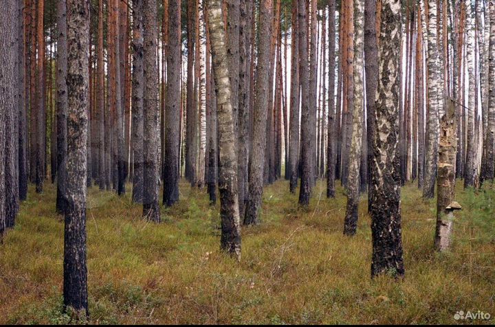 Участок 96,27 га (СНТ, ДНП)