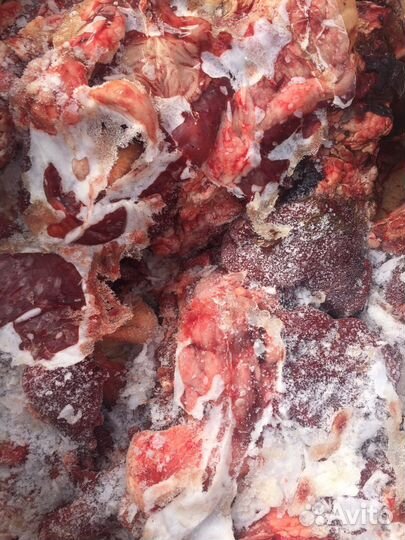 Корм для собак