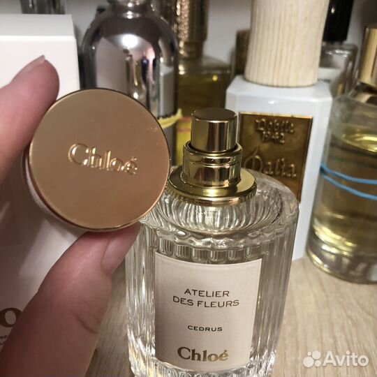Chloe cedrus оригинал распив
