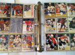 Хоккейные карточки игроков NHL 94-95 г