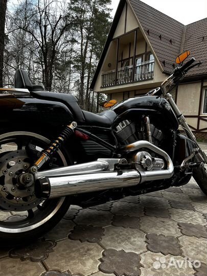 Harley-Davidson V-ROD muscle