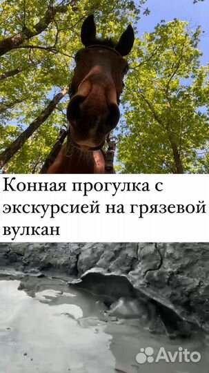 Конные прогулки анапа