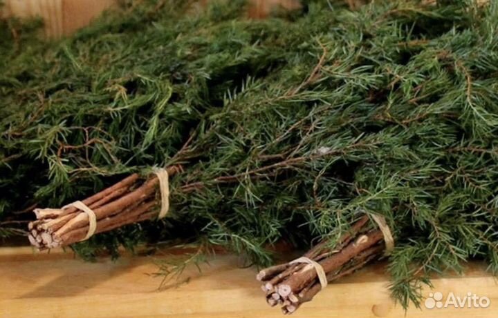 Венник для бани из можжевельника