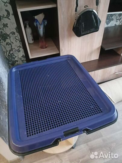 Товары для домашних животных