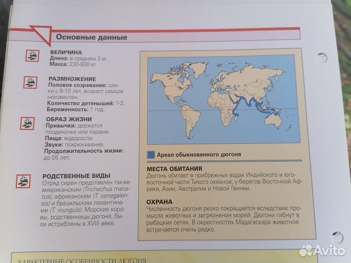 Энциклопедия 