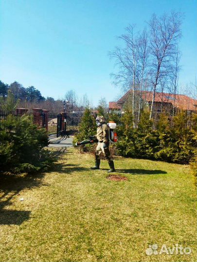 Уничтожение борщевика,уничтожение клещей,ос и т.д