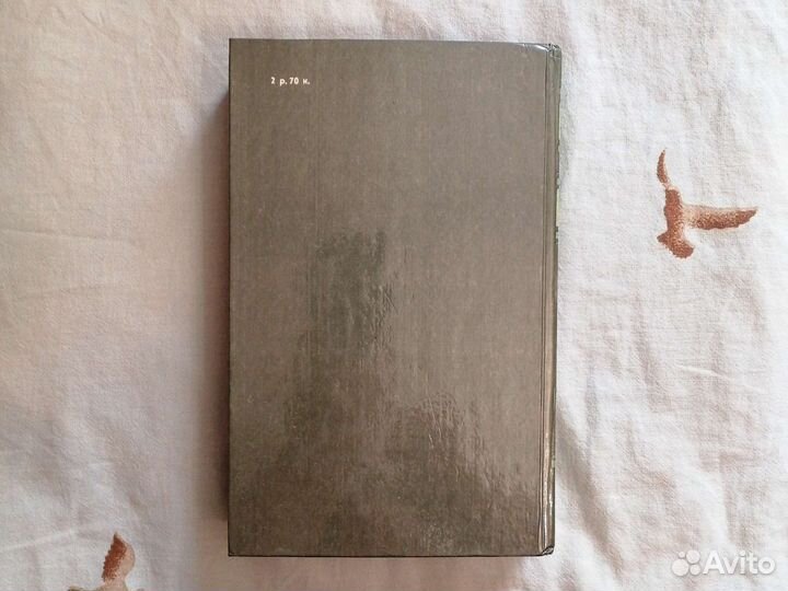 В. Я. Шишков. страшный кам