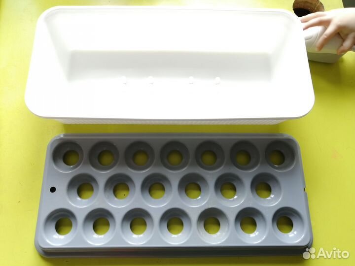 Проращиватель для лука