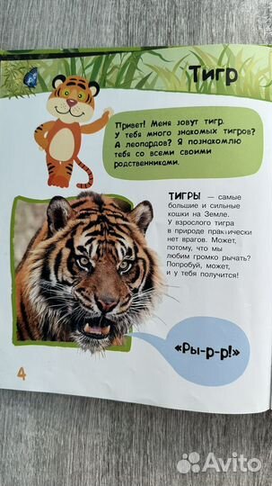 Энциклопедия животных для малышей книга