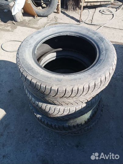 Gislaved Euro Frost 5 195/65 R15