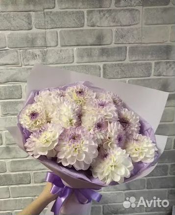 Георгины букет / Доставка цветов