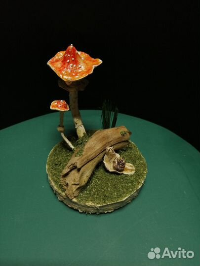 Улитка с мухомором