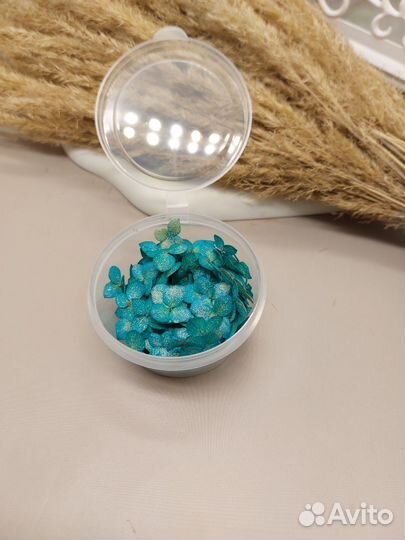 Гортензия сухоцвет