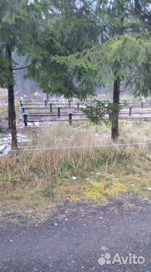 Винтовые сваи под ключ