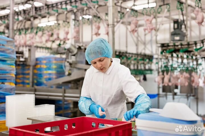 Работа вахтой с проживанием на птицефабрике Пермь