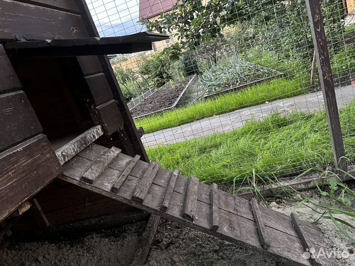 Курятник летний