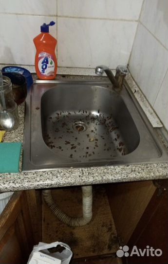 Уничтожение тараканов клопов клещей блох мышей