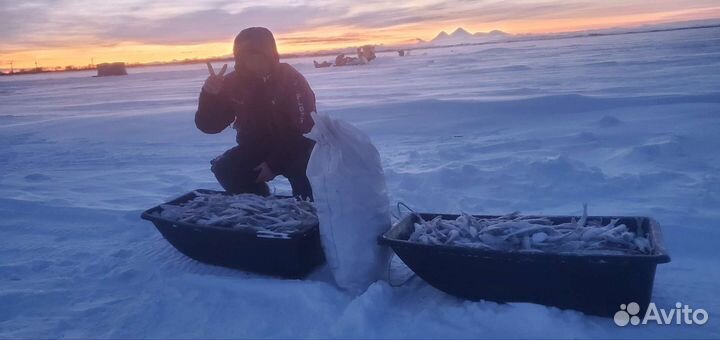 Рыбалка на реках Камчатки