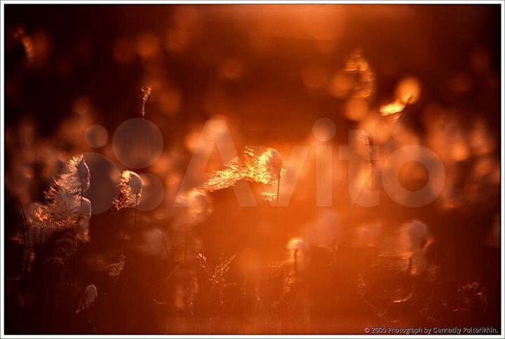 Дача 25 м² на участке 1 сот.