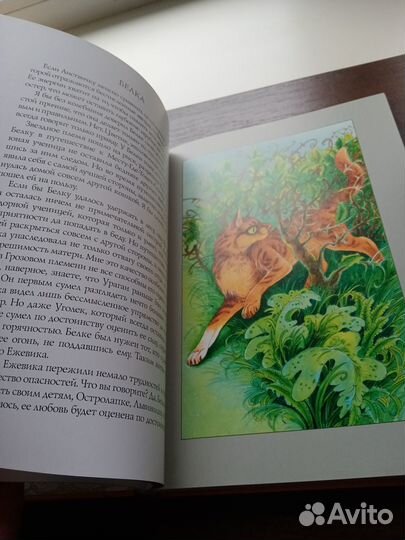 Книга путеводитель 