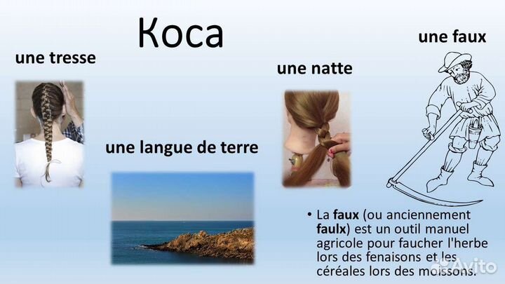 Репетитор по французскому языку