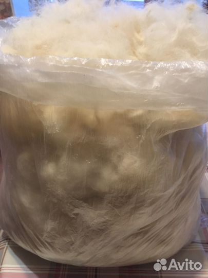 Собачья шерсть самоеда