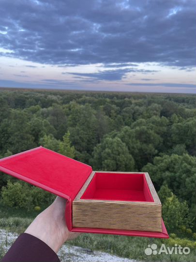 Библия-сейф Supreme оригинал