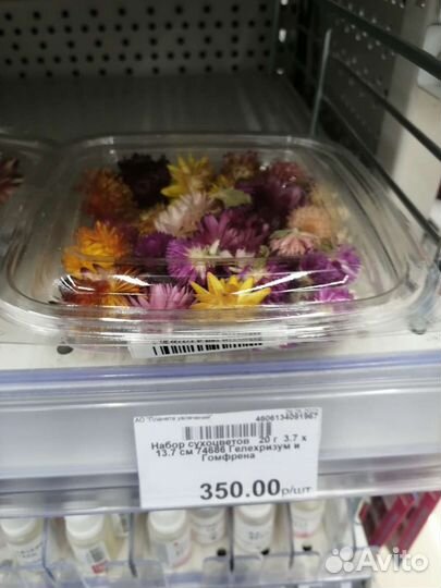 Сухоцветы, каштаны для творчества